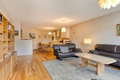 Boomsluiterskade2192511VJsGravenhageNL-13.jpg