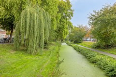 Mient1292564KJsGravenhage-24.jpg