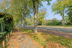 Stadstuinen102551VHsGravenhage-32.jpg