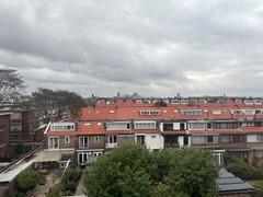 IMG_2083.jpeg