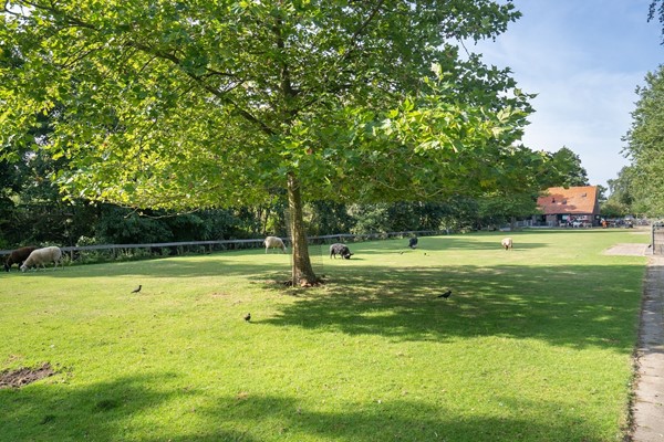 Medium property photo - Lavendelstraat 74, 2563 PT The Hague