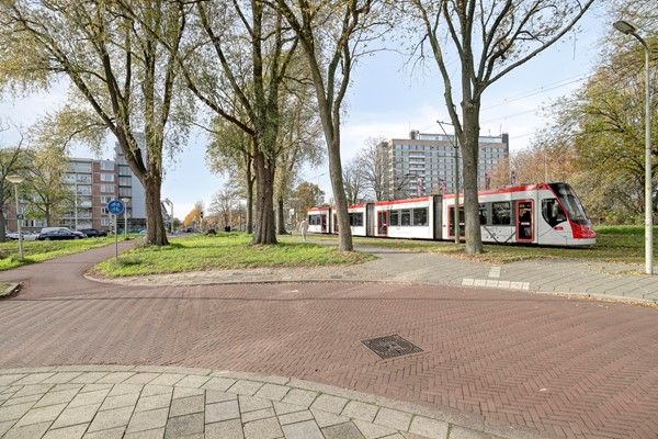 Erasmusplein1562532ETsGravenhage-23.jpg