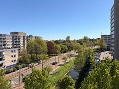 IMG_1900.JPEG