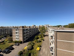 IMG_1912.JPEG