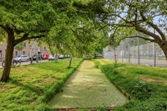 Loosduinsekade4152571cjsGravenhageNL-40.jpg