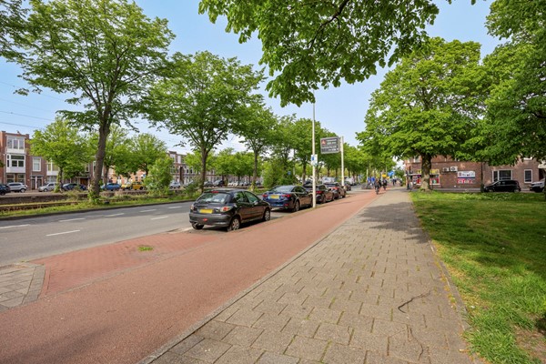 Loosduinsekade4152571cjsGravenhageNL-41.jpg