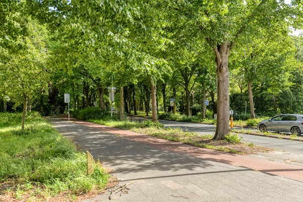 BuskenHuëtstraat282524TTsGravenhage-46.jpg