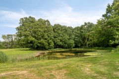 BuskenHuëtstraat282524TTsGravenhage-48.jpg