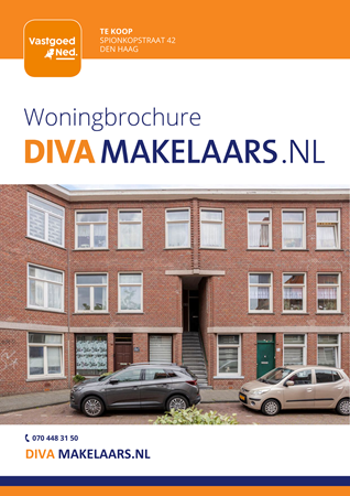 Brochure preview - Spionkopstraat 42, 2572 NM DEN HAAG (5)