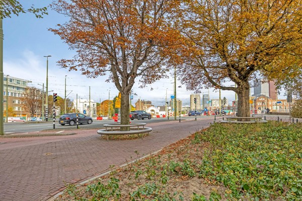 VanMaanenkade2242516LPsGravenhage-23.jpg