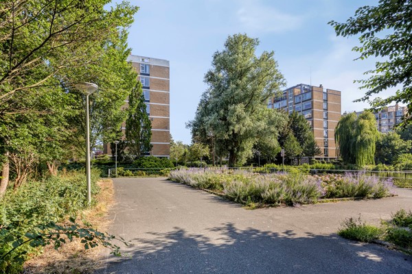 Mozartlaan4022555ktsGravenhage-44.jpg