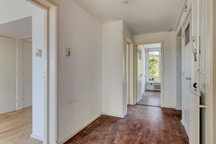 LaanvanMeerdervoort11542555CAsGravenhageNL-08.jpg