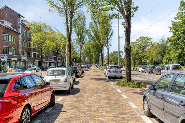 LaanvanMeerdervoort11542555CAsGravenhageNL-30.jpg