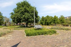 LaanvanMeerdervoort11542555CAsGravenhageNL-34.jpg