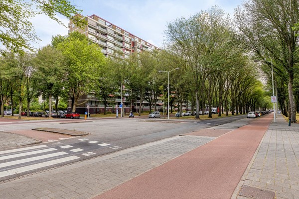 Nieuwendamlaan1282547JMsGravenhage-02.jpg