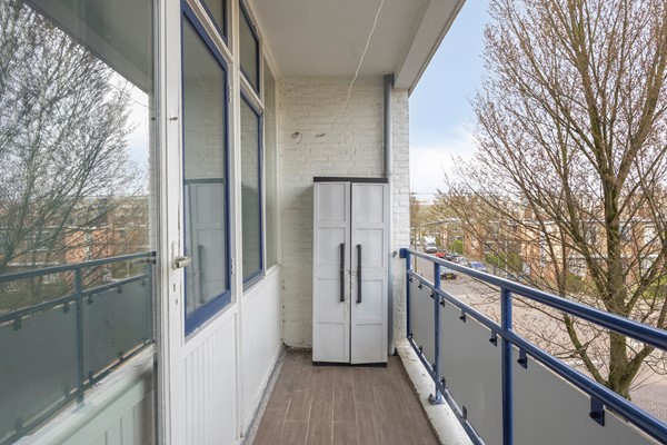 Otterrade242544jbsGravenhage-11.jpg