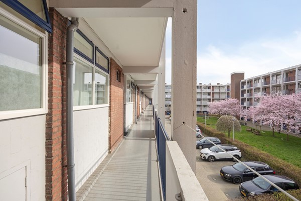 Otterrade242544jbsGravenhage-04.jpg