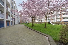 Otterrade242544jbsGravenhage-25.jpg