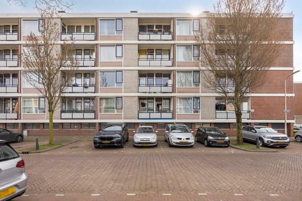 Otterrade242544jbsGravenhage-03.jpg