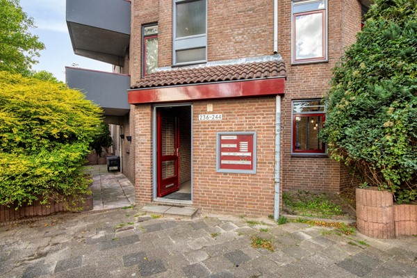QANederpelstraat2362552HHsGravenhage-04.jpg