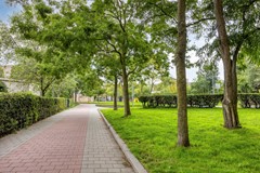 Sirtemastraat2592513XKsGravenhageNL-35.jpg