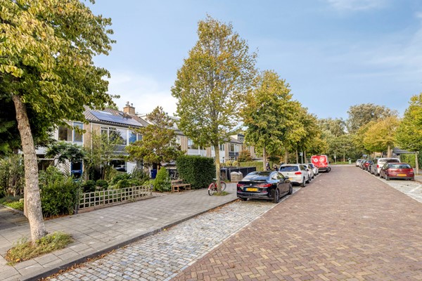 Meppelrade1092544XNsGravenhageNL-01.jpg