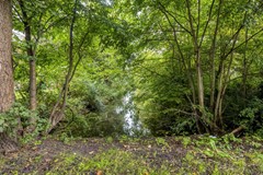 Meppelrade1092544XNsGravenhage-37.jpg