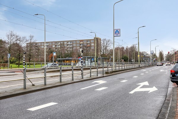 GroenvanPrinstererlaan212555HJsGravenhageNL-36.jpg