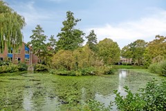 KingOlivereiland322551JVsGravenhageNL-40.jpg