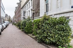 Rented: Plantage Muidergracht, 1018 TN Amsterdam