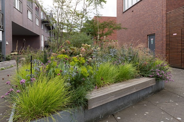 Medium property photo - Leeuwendalersweg 7, 1055 JE Amsterdam