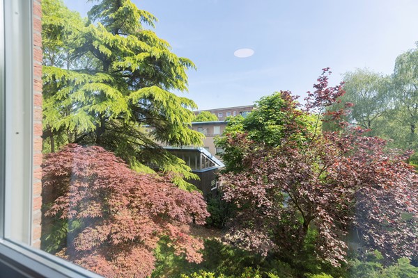 Medium property photo - Praterlaan 36, 1098 WR Amsterdam