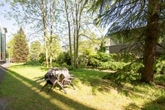 IMG_0961.jpg