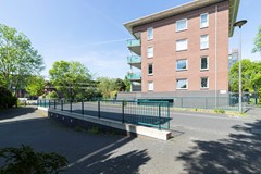 IMG_0967.jpg