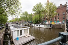 IMG_2445.jpg