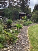 IMG_6570.jpeg