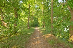 FrederikHendriklaan124561WEHulst-37.jpg