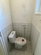 IMG_7918.JPG