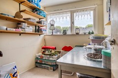 Bachlaan254536GATerneuzen-21.jpg