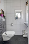 Strandschelp174533DTTerneuzen-06.jpg