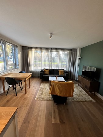The complex: beautiful and luxurious apartment complex in Avenhorn. 