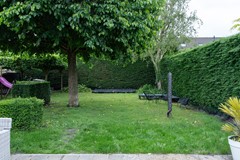 Koewijzend-24.jpg
