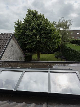 Koewijzend-13.jpg