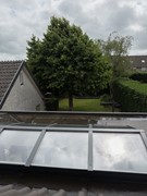 Koewijzend-13.jpg