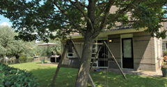 12.png