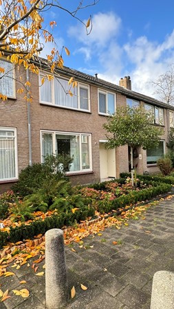 appartementen te huur op Chrysantenhof 7