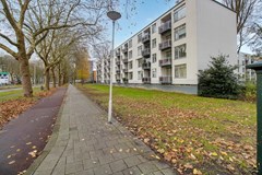 blaauwstraatfotodef (26 van 30).JPG