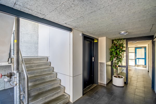 Medium property photo - De Velden 12, 3124 CP Schiedam