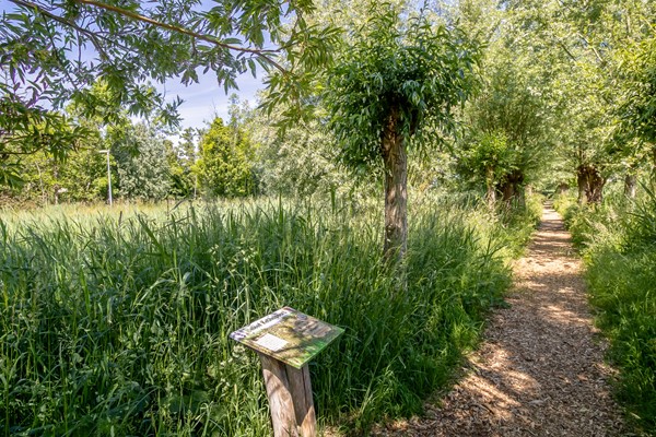 Medium property photo - De Velden 12, 3124 CP Schiedam