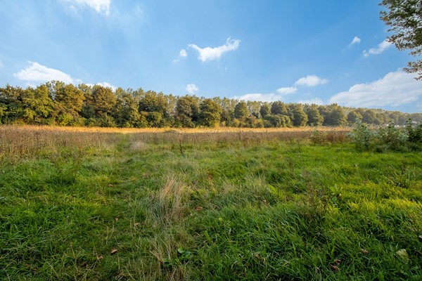 Medium property photo - Schollevaartse Dreef 5, 3068 KK Rotterdam